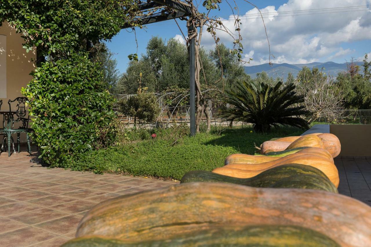 Olive Tree Villa กาลามาตา ภายนอก รูปภาพ